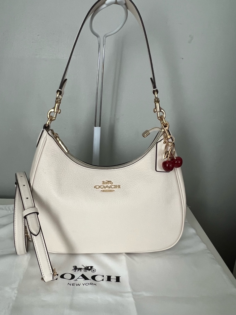 Coach Teri Hobo Bag - Picture 8 of 10
